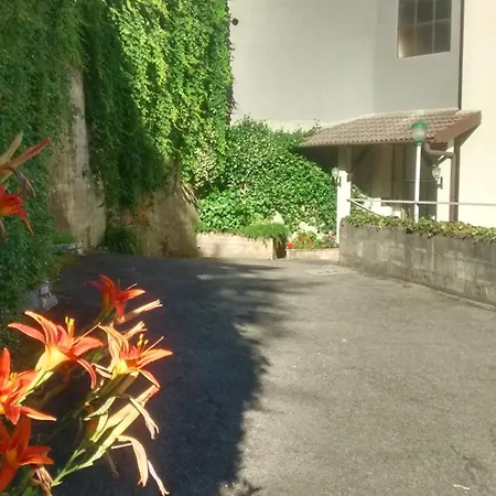Glavjc 3* تورنو